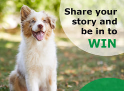 Win a Petrek 3G GPS Tracker
