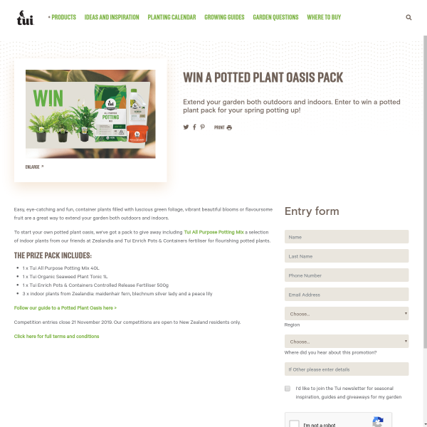 Win a Potted Plant Oasis Pack
