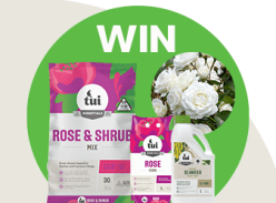 Win a Rose Planting Pack