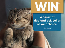 Win a Seresto Collar