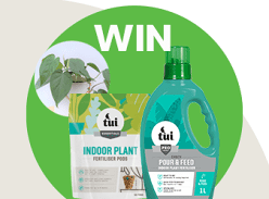 Win a Spring Indoor Plant Pack