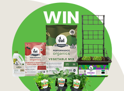 Win a Spring Vege Patch