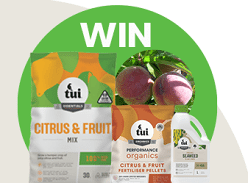 Win a Stone Fruit Tree Planting Pack