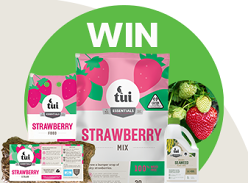 Win a Strawberry Planting Pack