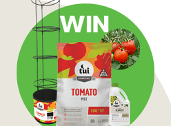 Win a Tomato Pack