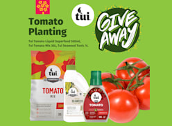 Win a Tomato Planting Pack