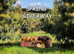 Win a Tray of 10 Bayfarms Avocados and 18 Gold Kiwifruit