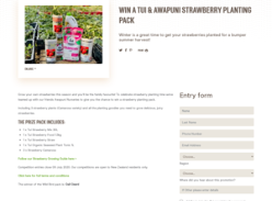 Win a Tui and Awapuni Strawberry Planting Pack