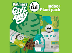 Win a TUI Indoor Plant Pack