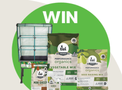 Win a Tui Urban Oasis Planter