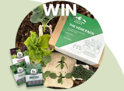 Win a Wool Vegetable Gift Pack from Floating Peaks