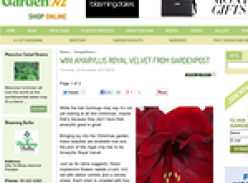 Win! Amarylis Royal Velvet from Gardenpost
