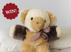 Win an adorable patchwork Toby Teddy Bear