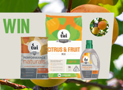 Win an Apricot Tree Planting Pack
