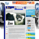 Win an encounter experience with the Lemurs at Wellington Zoo