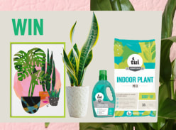 Win an idoor plant pack