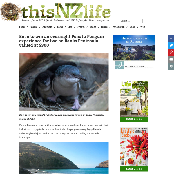 Win an overnight Pohatu Penguin experience for two on Banks Peninsula