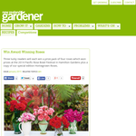 Win Award Winning Roses