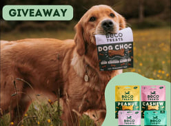 Win Beco Treats for Your Pet