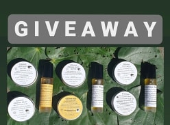 Win Beekawa Starter Set