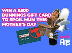 Win a $500 Bunnings Gift Card - The Hits - Aotearoa