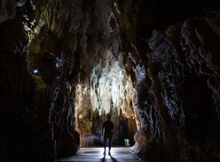 Win a Family Pass to Ruakuri and Aranui Caves - MiNDFOOD