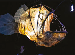 Win family passes to giveaway to Erth’s Prehistoric Aquarium