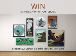 Win a Framed Bird Print of your Choice