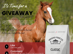 Win Hekeao Classic Foal Blend