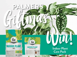 Win Indoor Plant Care Pack