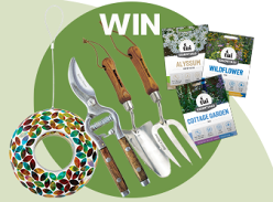 Win Kent and Stowe Tools