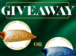 Win Mulberry Silk Pillowcase