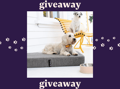 Win our limited edition Pawfect Sleep Dog Beds