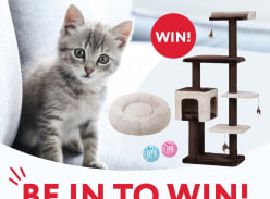 Win PetPals Midnight Molly Cat Scratcher and a Lexi & Me Cat bed