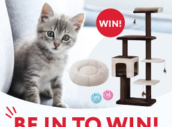 Win PetPals Midnight Molly Cat Scratcher and a Lexi & Me Cat bed