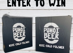 Win Puhoi Beer Renegade Dart Board Sets