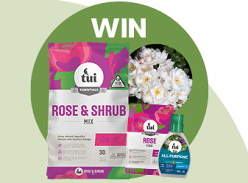 Win a Rose Planting Pack