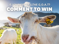 Win School Pet Day Prize Packs