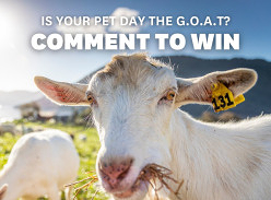 Win School Pet Day Prize Packs