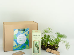 Win Seedlip x Green Shoots Cocktail Garden Kit Giveaway