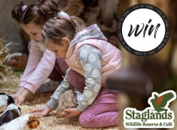 Win Staglands Family Pass