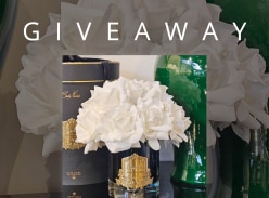 Win This Cte Noire Grand Bouquet Ivory in Dark Glass