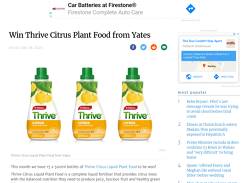 Win Thrive Citrus Plant Food from Yates