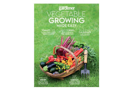 Win Vegetable Growing Made Easy