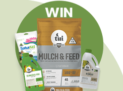 Win Water Saving Essentials