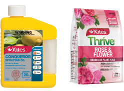 Win 1 of 5 Winter Rose Care Packs - NZ Gardener