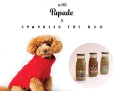 Win Woolen Sparkles the Dog Sweater and Pupade Beverage