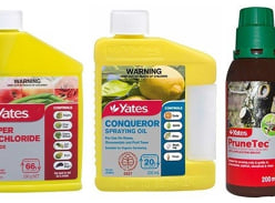 Win Yates orchard winter wellness packs