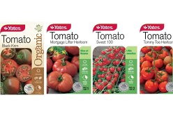 Win Yates Tomato Seeds